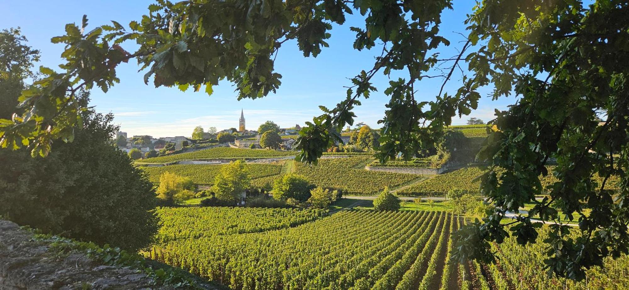 Gite Chateau Touzinat - Saint-Émilion Buitenkant foto